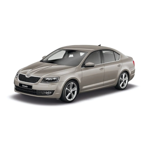 OCTAVIA 2013-